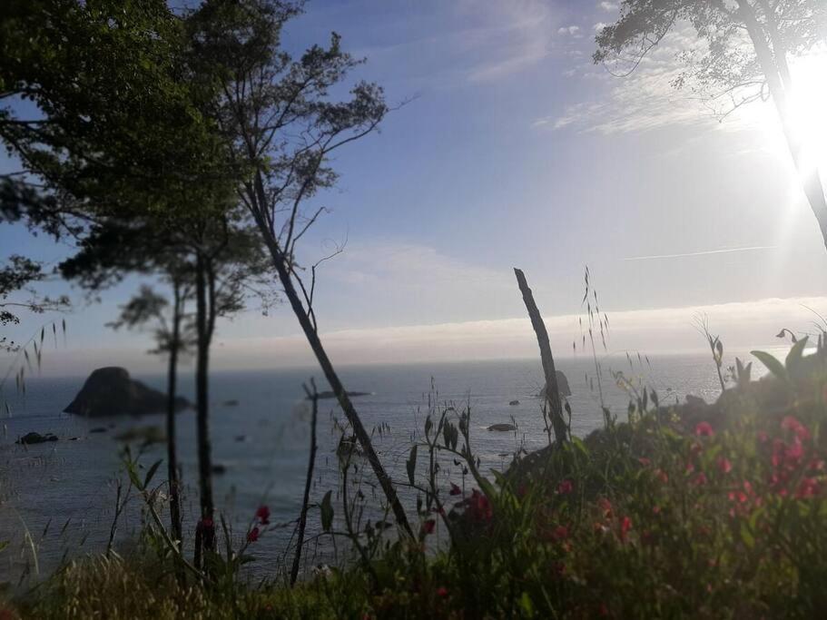 Ocean View Village Condo With Trails To Beaches Trinidad Dış mekan fotoğraf