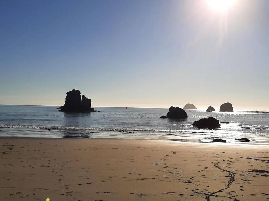 Ocean View Village Condo With Trails To Beaches Trinidad Dış mekan fotoğraf