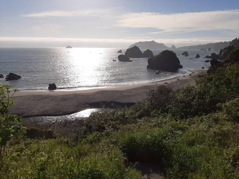 Ocean View Village Condo With Trails To Beaches Trinidad Dış mekan fotoğraf